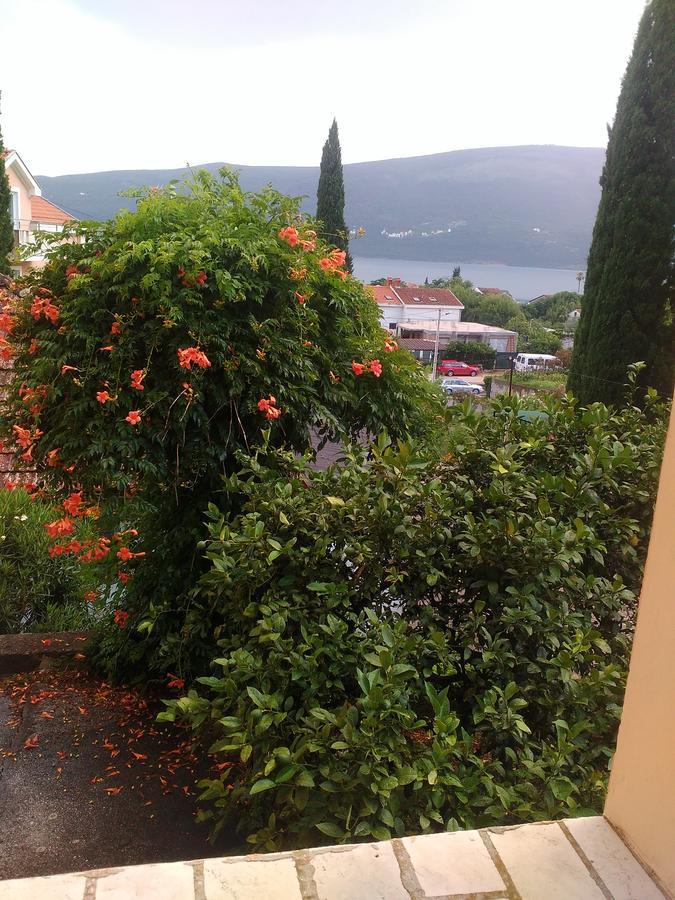 Sobe Baosici Marina Hotell Herceg Novi Eksteriør bilde